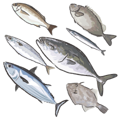 Japanese ingredients-Wakayama seafood