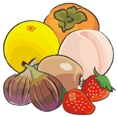 Japanese ingredients-Wakayama Fruits