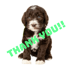 perseus_20220827204548