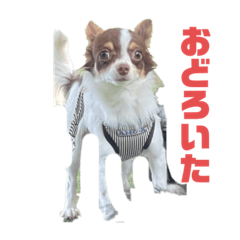 ぶんさんと