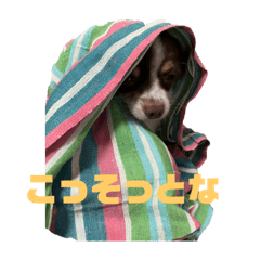 sakooo_20220827222233