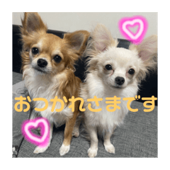 mitsuki_20220827221504