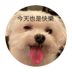 小鑽的貼圖！