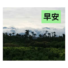 風景觀賞