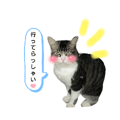 猫と馬の行ってきます。行ってらっしゃい。 - LINE スタンプ | LINE STORE