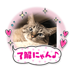 yukari_20220828141049