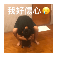 芃彣小日常