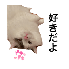 Daikon Lee