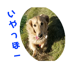 aran_20220828130306