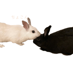 hikaru_20220828144145
