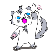 Am I a wolf or cat?