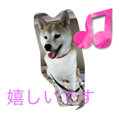 sakuramaru_20220828165436