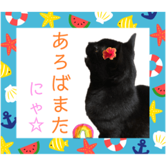 KuroiNekosan_Amakusaben stickers.