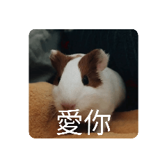 ㄚ蟲蟲的日常2,0