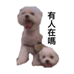 我是小小克