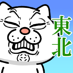 Annoying Cat -touhoku-
