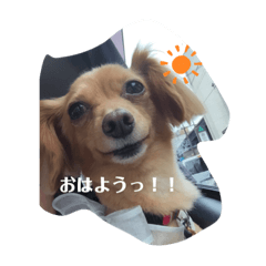 NATSUMI_20220828222843