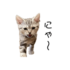 arisa_20220829011956