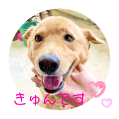 shiho_20220829083459