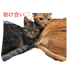Hana_20220829084114