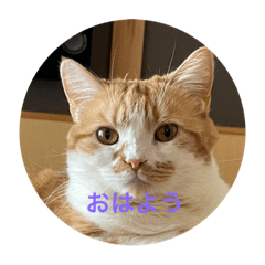 Yuka_20220828204403