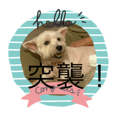 妮&妞&小靚の日常