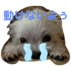 yuka_20220829143346
