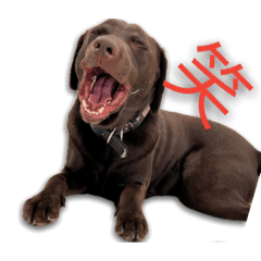 Hikari_20220829161123