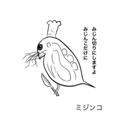 isa_20220829011753