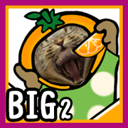 Cat Kijitra Big sticker 2