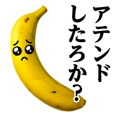 Banana MAX / Exposure sticker