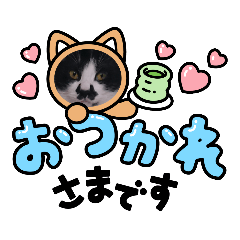 YAYOI_20220829193215