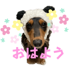 yun_20220829193712