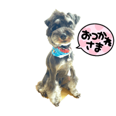 natsumi_20220829202144