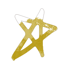Colorful STAR_363