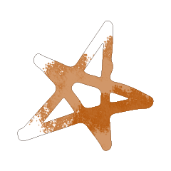 Colorful STAR_364