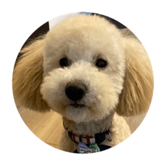 shiho_20220829213442