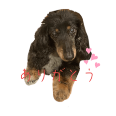 Nozomi_20220829215252