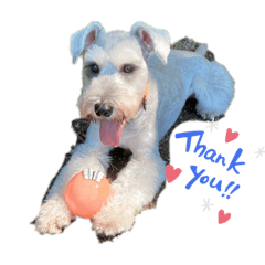 natsumi_20220829230059