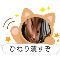 sei_20220829235049