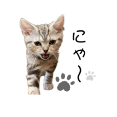 arisa_20220830003508