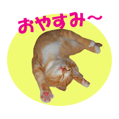 Daily stickers of Tanguy and Noel