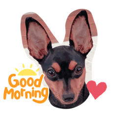 tomomi_20220830102154