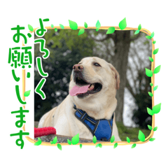 seira_20220830120545