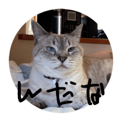 Yuka_20220830011401