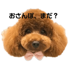 yuka_20220830005610