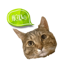 momoko_20220830134859