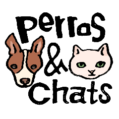perros&chats