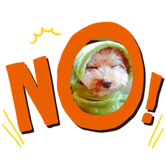 C_20220830151230
