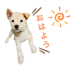 megumi_20220831013123